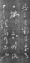 ​“二苏”兄弟3