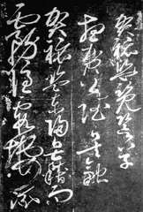 ​“二苏”兄弟4