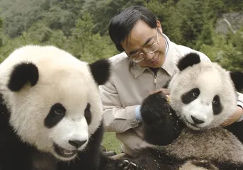 ​熊猫宝宝的呵护者们1