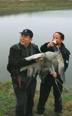 ​鄱阳湖:从洪灾到旱灾3