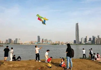城市有它真好!4