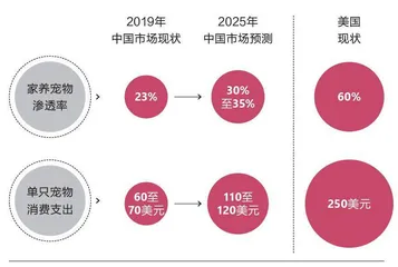 千亿规模的宠物市场,下一个美妆级赛道?2