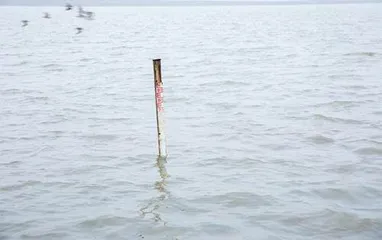 生态危机下的鄱阳湖5