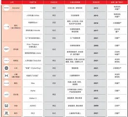 让“大白”成真5