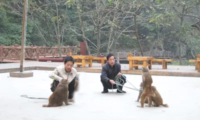 ​武当“引猴”之路1