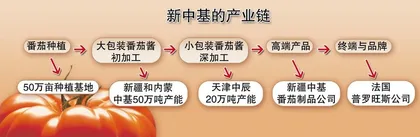新中基:红色产业的崛起