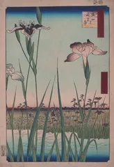 ​恋恋浮世绘5
