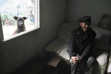 “虎来了”2