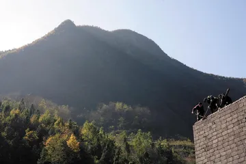 “虎来了”4