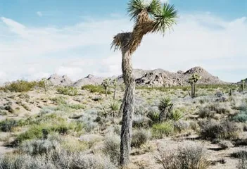 好消息·坏消息（458）2