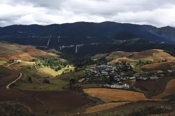 “木头财政”的代价1