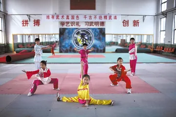 霍家后人与逝去的武林11