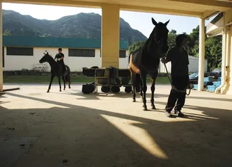 浙江萧山的“富二代”2