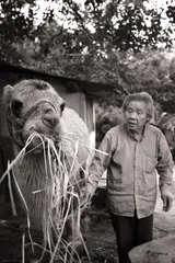 凤凰山一号的私人动物园8