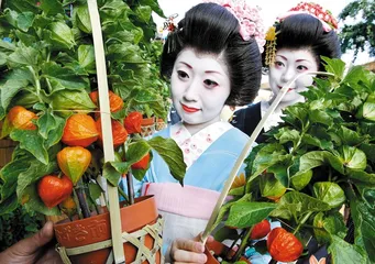 ​良品东京1