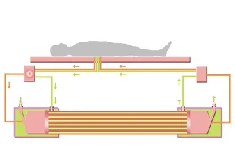 肝移植:柳叶刀与死神之镰的决斗2