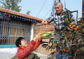 ​土地:原罪下的村民和市民1