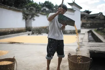 腾冲，东方奢侈之源的背影1