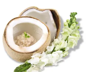 ​餐桌上的暴行，奶酪在嘶鸣3