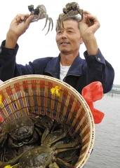 大闸蟹巨额利润下的公平游戏2