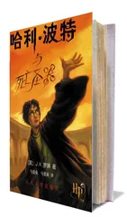 ​哈利·波特的胜利