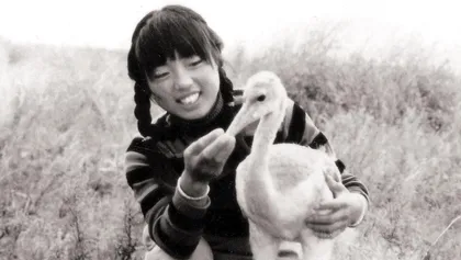 丹顶鹤女孩的真实故事3