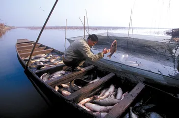 家住洞庭湖4