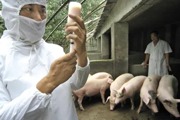 追寻猪肉涨价的经济动力2