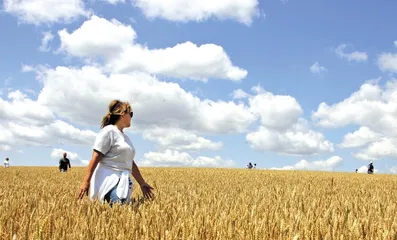 把根留住