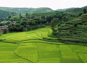 善待土地保护性耕作