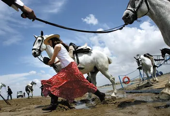 浪漫骑士帝国的兴衰4