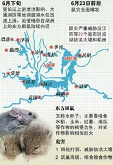 洞庭湖鼠患下的生存1