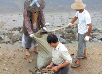 洞庭湖鼠患下的生存2