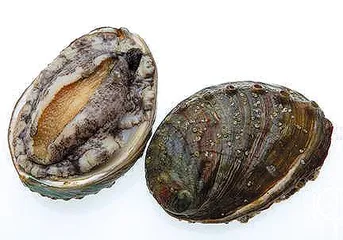 好消息·坏消息（437）4