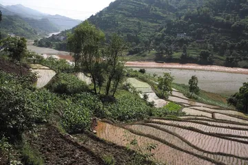 茅台酒的不可复制:“天”、“人”纠葛1