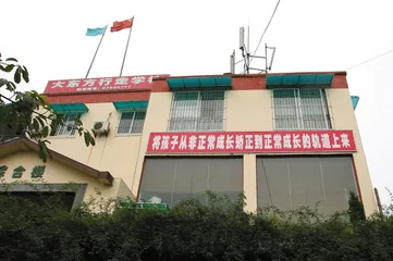 “行走学校”里的坠楼事件2