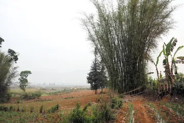 王小波在云南4