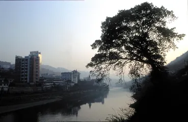 茅台:牛市中流传的财富神话