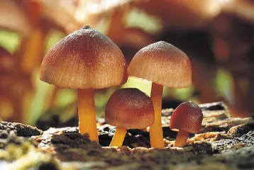 好消息·坏消息（434）