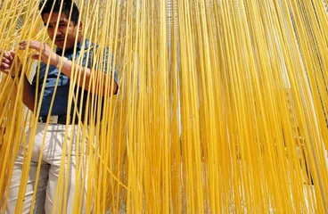 塑料的100年1