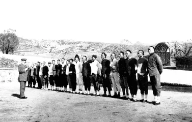 封闭和开放:总会内外的侨民运动者1