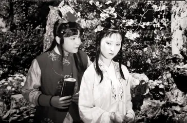 陈晓旭:不一样的告别1