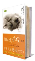 狗在书中猫在网上1