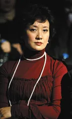 浪淘尽，红楼红颜1