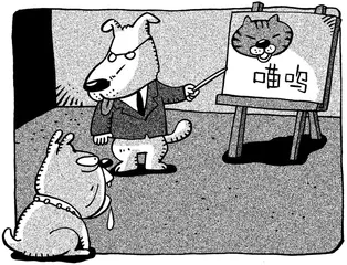生活圆桌(426)1