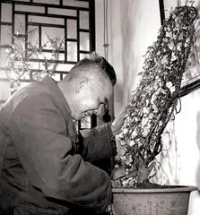 人生长恨水长东 ——我的父亲张恨水9
