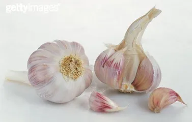 免疫风暴2