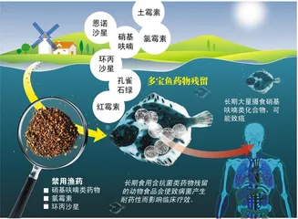 高速产业化下的多宝鱼事件2