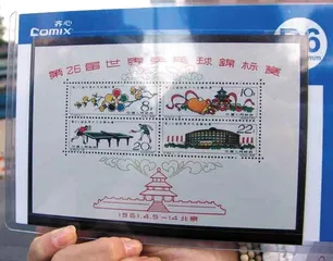 别针换别墅的街头实验8