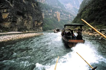 中华鲟：野生物种消失前的拯救1